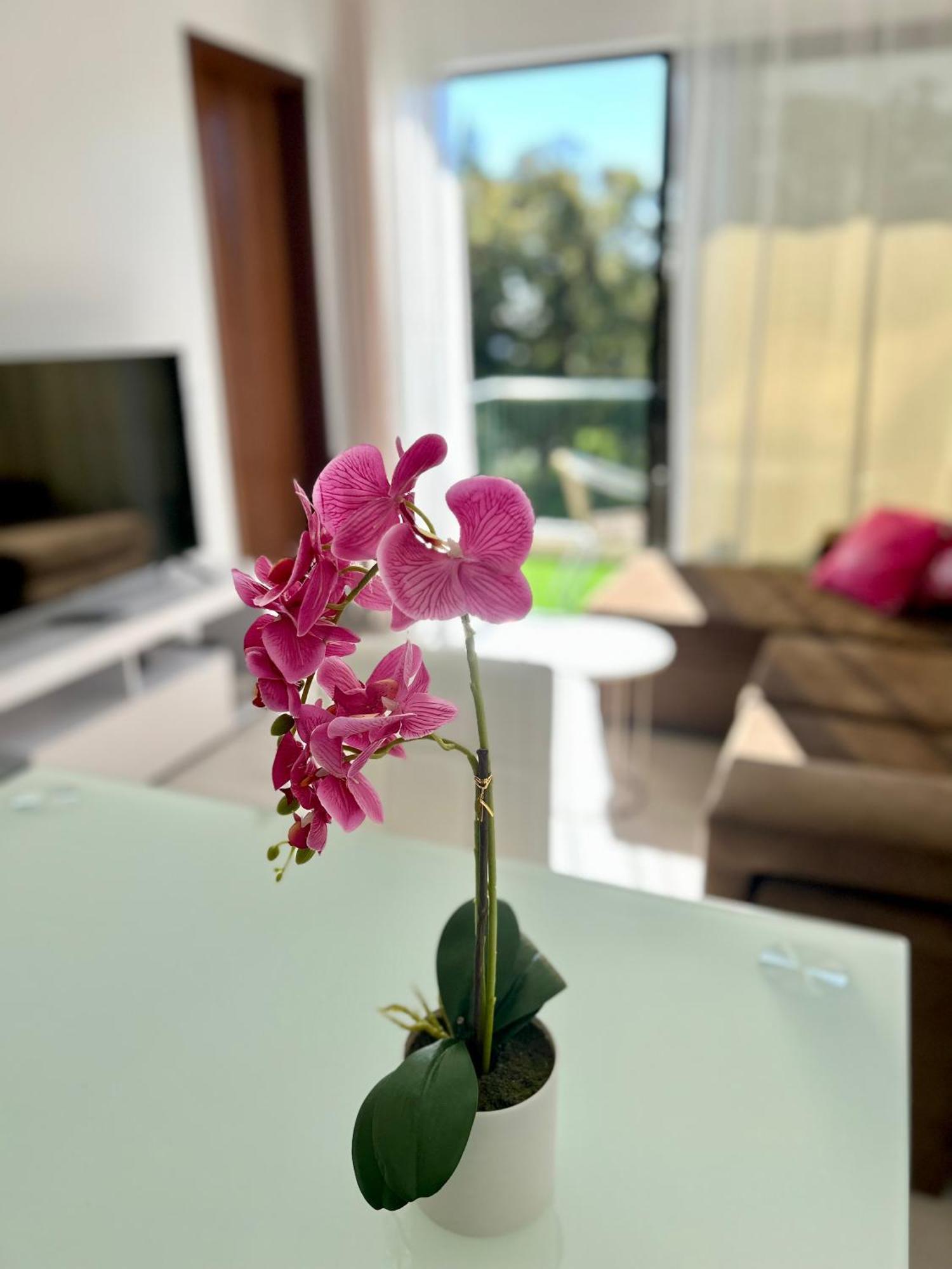 Santa Catarina By Ola Madeira Apartment Funchal  Exterior photo